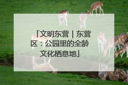 文明东营｜东营区：公园里的全龄文化栖息地
