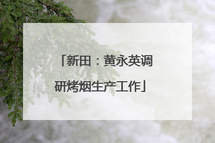 新田：黄永英调研烤烟生产工作