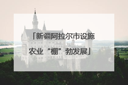 新疆阿拉尔市设施农业“棚”勃发展