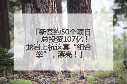 新签约50个项目，总投资107亿！龙岩上杭这套“组合拳”，漂亮！