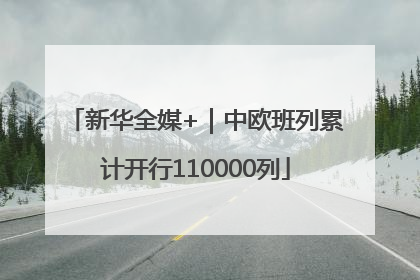 新华全媒+｜中欧班列累计开行110000列