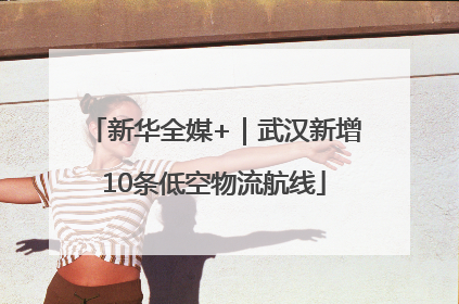 新华全媒+｜武汉新增10条低空物流航线