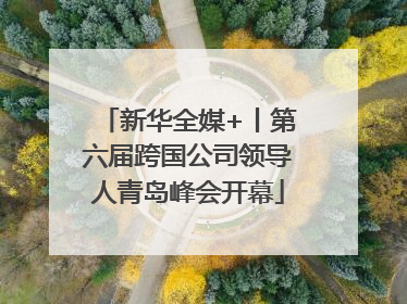 新华全媒+丨第六届跨国公司领导人青岛峰会开幕
