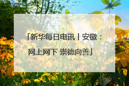 新华每日电讯丨安徽：网上网下 崇德向善