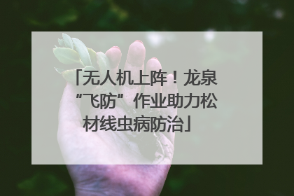 无人机上阵！龙泉“飞防”作业助力松材线虫病防治