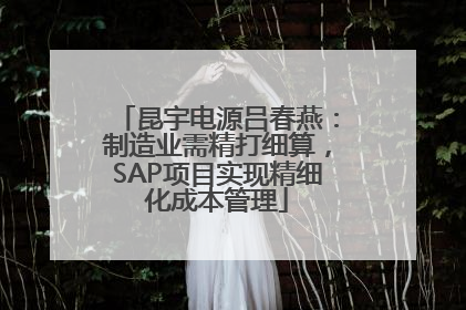 昆宇电源吕春燕：制造业需精打细算，SAP项目实现精细化成本管理