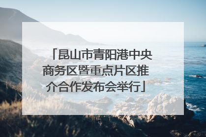 昆山市青阳港中央商务区暨重点片区推介合作发布会举行