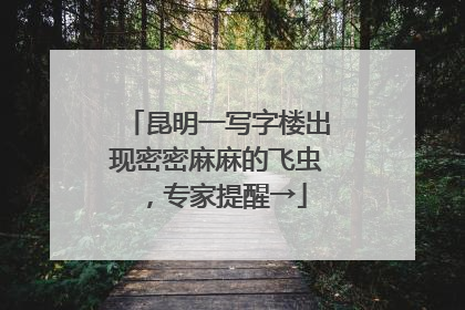 昆明一写字楼出现密密麻麻的飞虫，专家提醒→