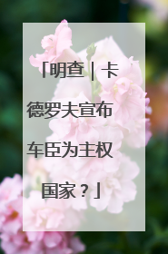 明查｜卡德罗夫宣布车臣为主权国家？