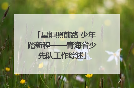 星炬照前路 少年踏新程——青海省少先队工作综述