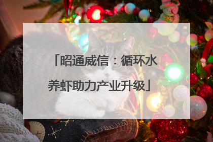 昭通威信：循环水养虾助力产业升级