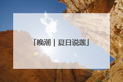 晚潮｜夏日说莲
