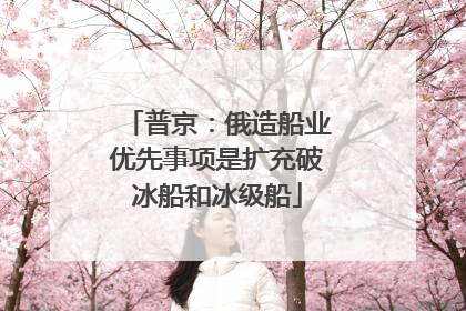 普京：俄造船业优先事项是扩充破冰船和冰级船