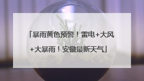 暴雨黄色预警！雷电+大风+大暴雨！安徽最新天气