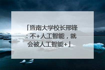 暨南大学校长邢锋：不+人工智能，就会被人工智能+