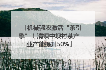 机械强农激活“茶引擎”！清镇中坝村茶产业产能提升50%