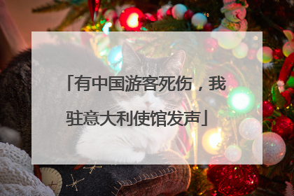 有中国游客死伤，我驻意大利使馆发声