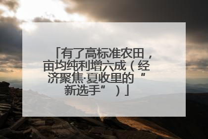 有了高标准农田，亩均纯利增六成（经济聚焦·夏收里的“新选手”）