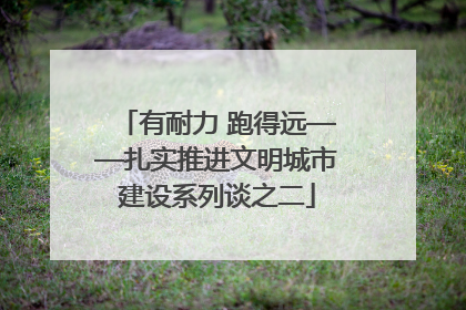 有耐力 跑得远——扎实推进文明城市建设系列谈之二