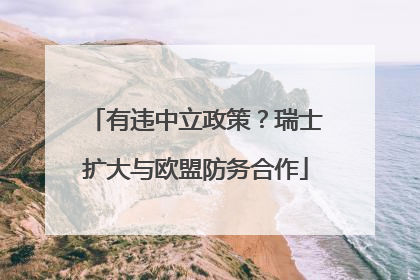 有违中立政策？瑞士扩大与欧盟防务合作