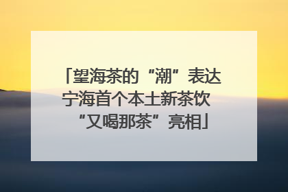 望海茶的“潮”表达 宁海首个本土新茶饮“又喝那茶”亮相