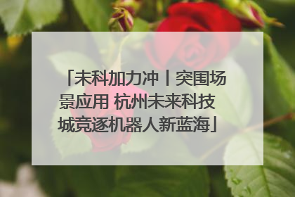 未科加力冲丨突围场景应用 杭州未来科技城竞逐机器人新蓝海