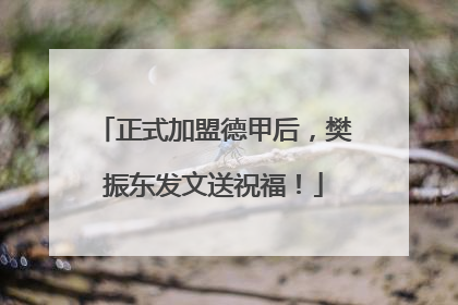 正式加盟德甲后，樊振东发文送祝福！