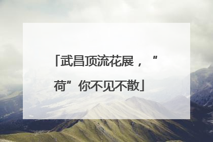 武昌顶流花展，“荷”你不见不散