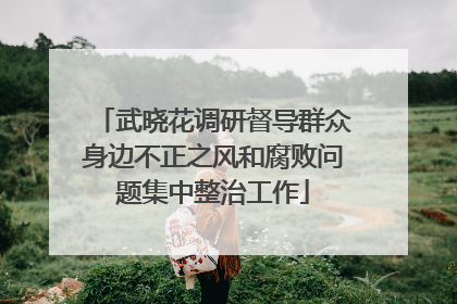 武晓花调研督导群众身边不正之风和腐败问题集中整治工作