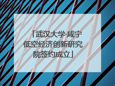 武汉大学·咸宁低空经济创新研究院签约成立