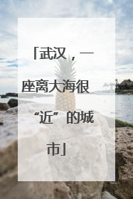 武汉，一座离大海很“近”的城市