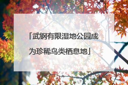 武钢有限湿地公园成为珍稀鸟类栖息地