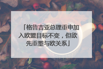 格鲁吉亚总理重申加入欧盟目标不变，但欲先重塑与欧关系