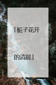 栀子花开的清晨