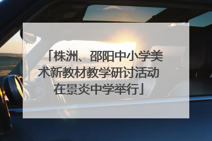株洲、邵阳中小学美术新教材教学研讨活动在景炎中学举行