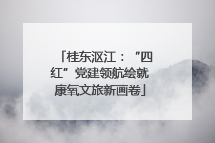 桂东沤江：“四红”党建领航绘就康氧文旅新画卷