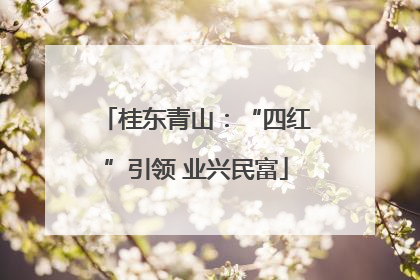 桂东青山：“四红”引领 业兴民富