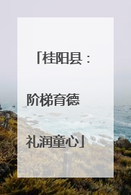 桂阳县：阶梯育德 礼润童心
