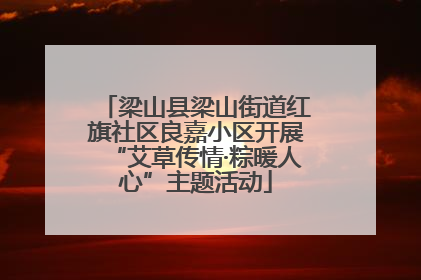 梁山县梁山街道红旗社区良嘉小区开展“艾草传情·粽暖人心”主题活动