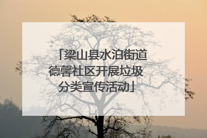 梁山县水泊街道德馨社区开展垃圾分类宣传活动