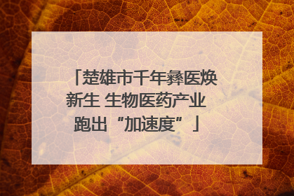 楚雄市千年彝医焕新生 生物医药产业跑出“加速度”