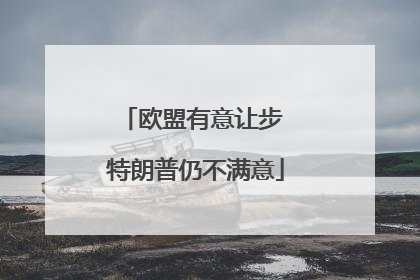 欧盟有意让步 特朗普仍不满意
