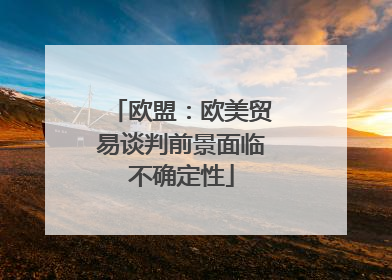 欧盟：欧美贸易谈判前景面临不确定性