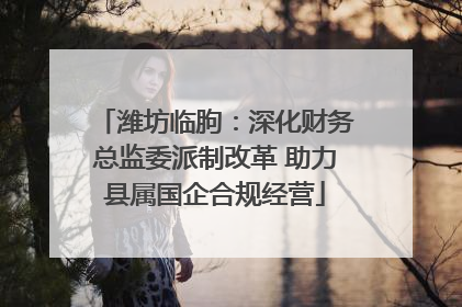 潍坊临朐：深化财务总监委派制改革 助力县属国企合规经营
