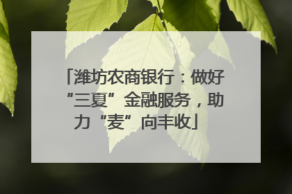 潍坊农商银行：做好“三夏”金融服务，助力“麦”向丰收