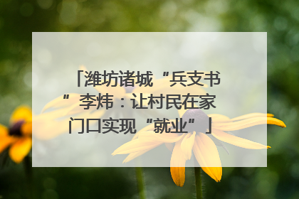 潍坊诸城“兵支书”李炜：让村民在家门口实现“就业”