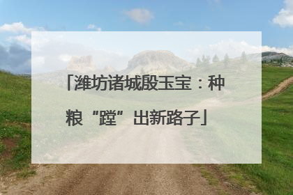 潍坊诸城殷玉宝：种粮“蹚”出新路子