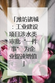 潍坊诸城：工业建设项目涉水类审批“一件事” 为企业提速增值