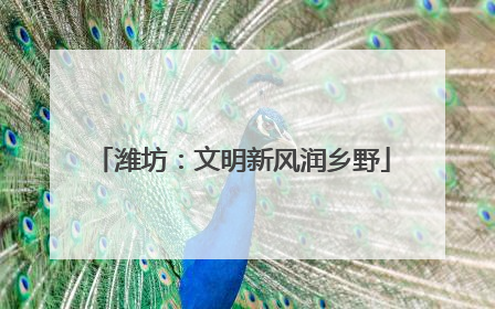 潍坊：文明新风润乡野