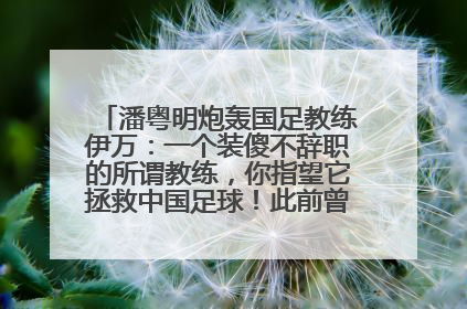 潘粤明炮轰国足教练伊万：一个装傻不辞职的所谓教练，你指望它拯救中国足球！此前曾多次发文评价国足